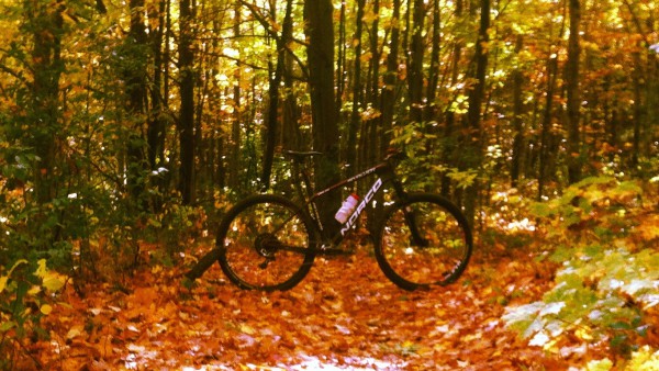 HOW TO LOVE FALL RIDING